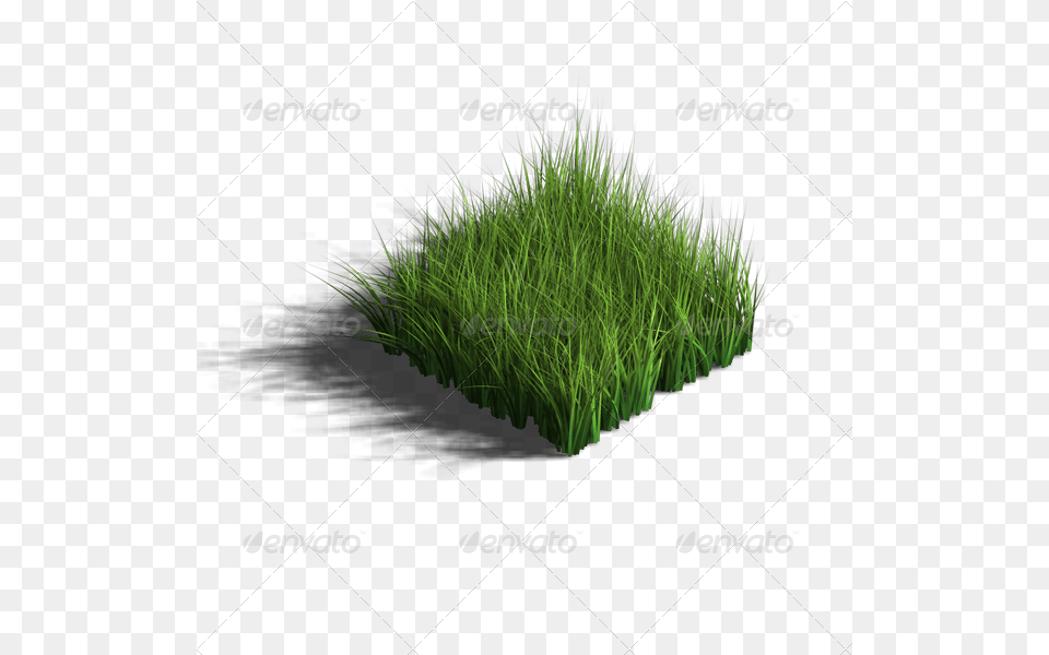 Grass 3d Model Transparent, Plant, Vegetation, Moss, Lawn Free Png