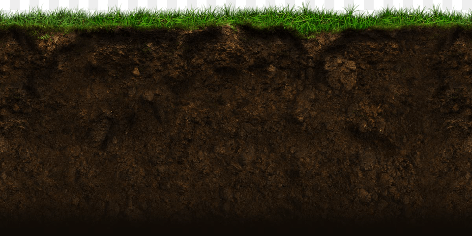 Grass, Soil, Nature, Outdoors, Plant Free Png Download