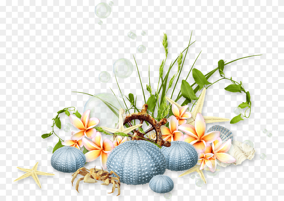 Grass, Flower, Flower Arrangement, Plant, Flower Bouquet Free Transparent Png