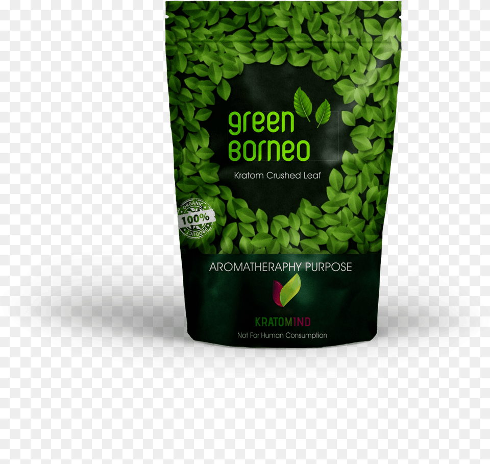 Grass, Bottle, Herbal, Herbs, Plant Free Png
