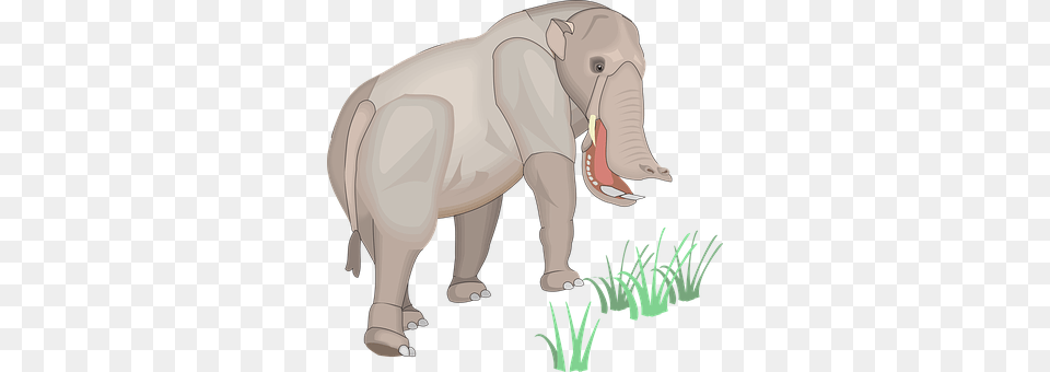 Grass Animal, Elephant, Mammal, Wildlife Free Png