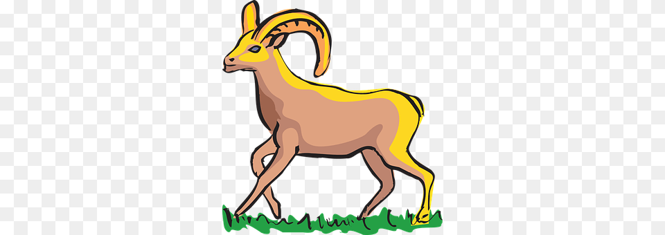 Grass Animal, Mammal, Livestock, Wildlife Free Transparent Png