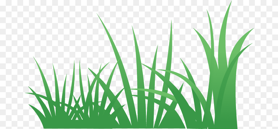 Grass 5 Grass Grass, Green, Lawn, Plant, Vegetation Png