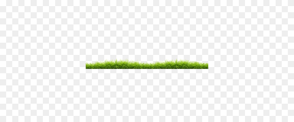 Grass, Green, Plant, Ball, Tennis Free Transparent Png