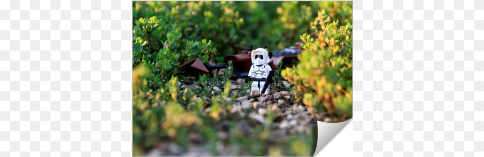 Grass, Figurine, Plant, Vegetation Png