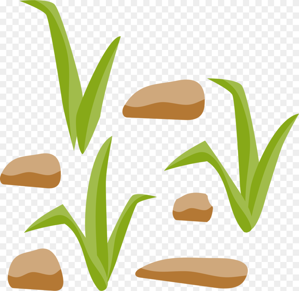 Grass And Rocks Vector Clipart Of Winging, Herbal, Herbs, Plant, Food Free Png