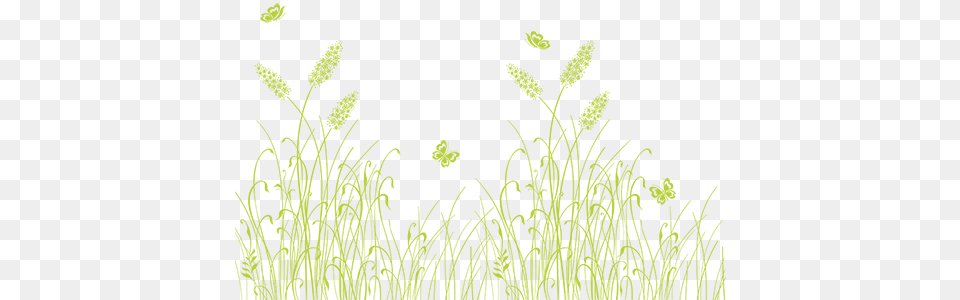 Grass Background Heritage Coast, Green, Plant, Leaf, Texture Free Png Download