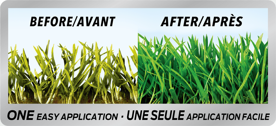 Grass Before And After Fertilizer, Plant, Vegetation, Lawn, Agriculture Free Png