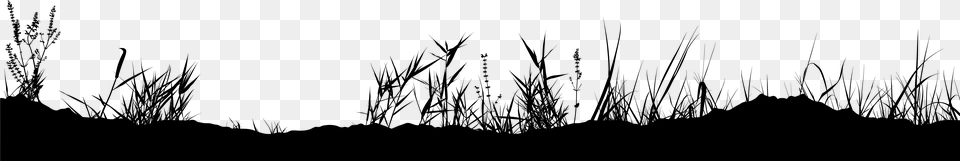 Grass Black And White, Gray Png Image