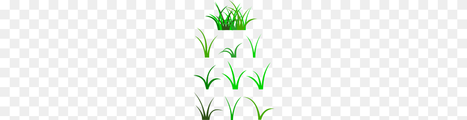 Grass Blade Clip Art, Green, Plant, Graphics, Pattern Free Transparent Png