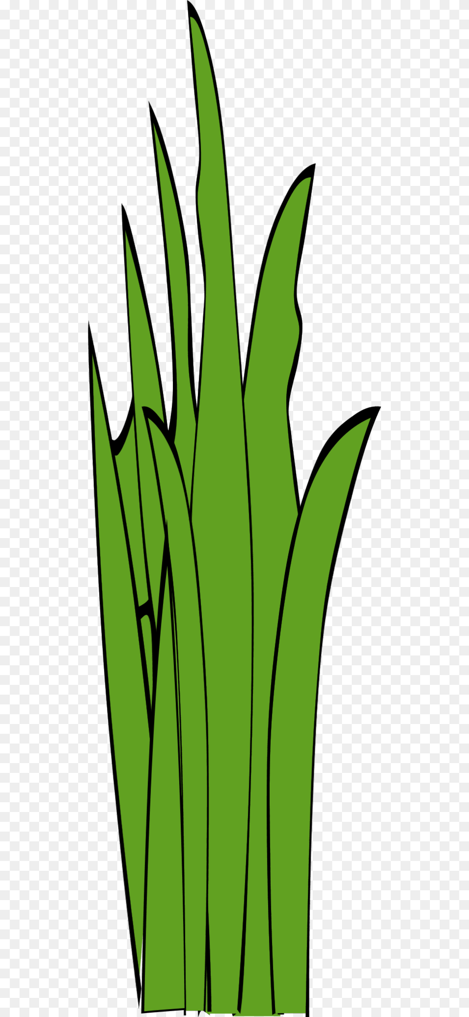 Grass Blades And Clumps Long Grass Clipart, Green, Leaf, Plant, Herbal Free Png