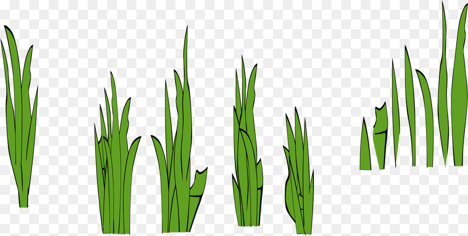 Grass Blades Grass Clip Art, Green, Plant, Vegetation, Aquatic Png Image