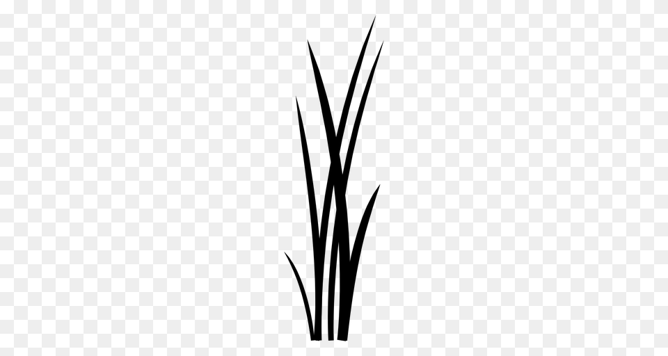 Grass Blades Silhouette, Gray Free Png Download