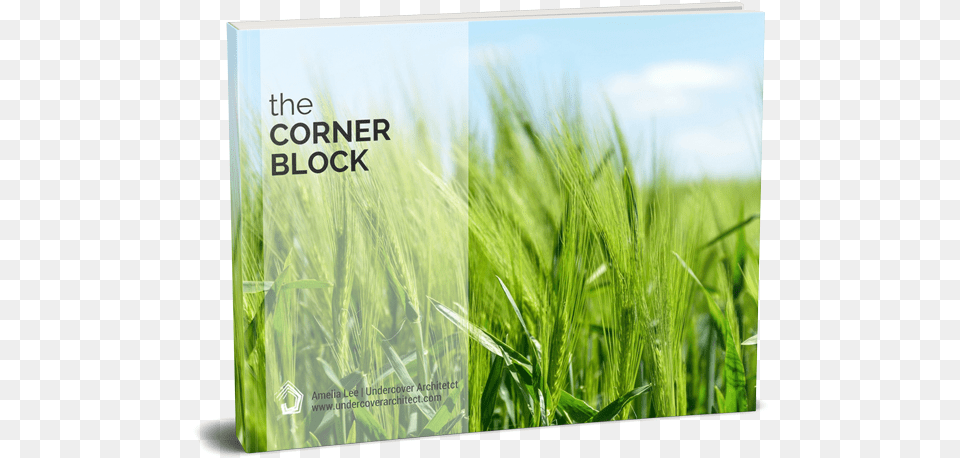 Grass Block, Vegetation, Plant, Outdoors, Nature Free Png Download