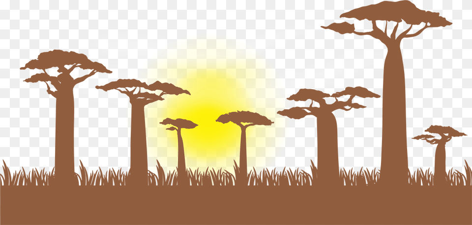Grass Border Clip Art Tree Silhouette Baobab, Nature, Outdoors, Savanna, Grassland Png Image