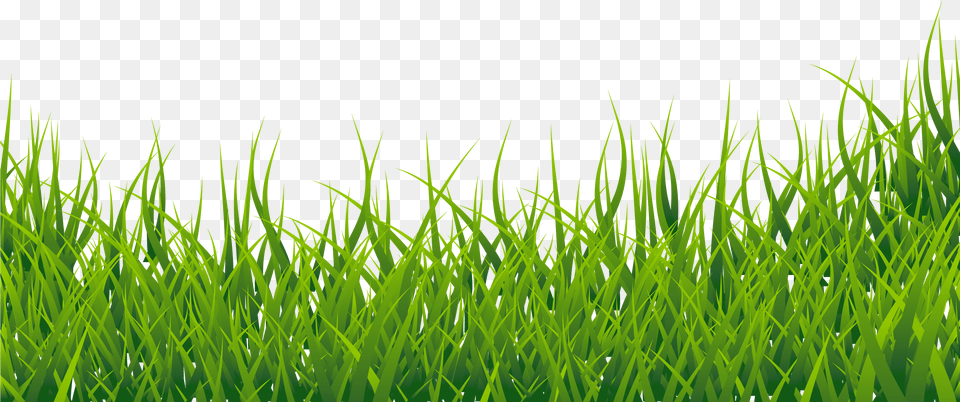 Grass Border Clipart Grass Clipart, Green, Lawn, Plant, Vegetation Free Transparent Png