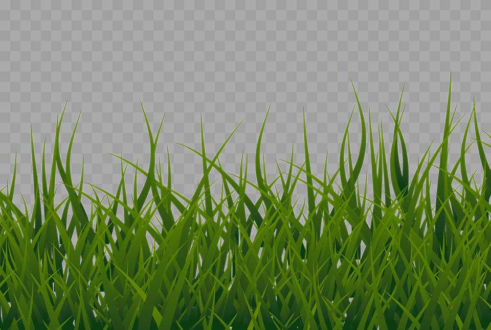 Grass Border Clipart Transparent, Green, Lawn, Plant, Vegetation Png