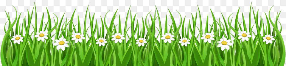 Grass Border Download Easter Grass Clipart, Green, Daisy, Flower, Plant Free Png