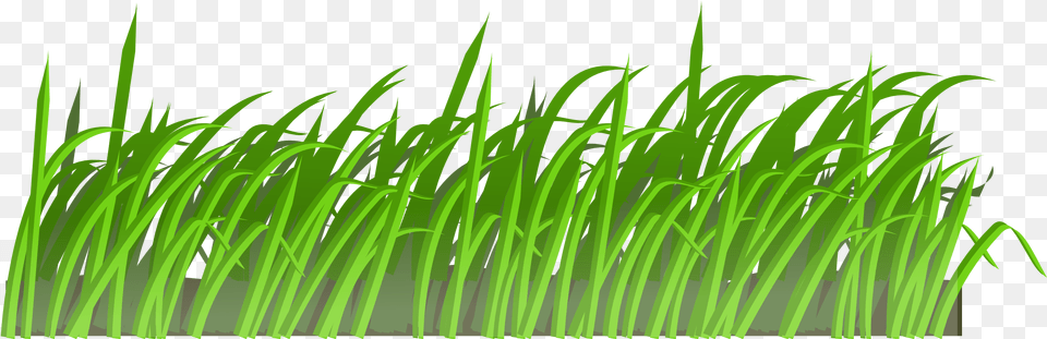 Grass Cartoon, Green, Plant, Vegetation, Lawn Free Png