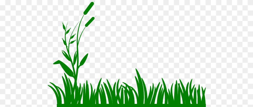 Grass Cartoon Image Grass Black And White, Aquatic, Green, Plant, Vegetation Free Png Download