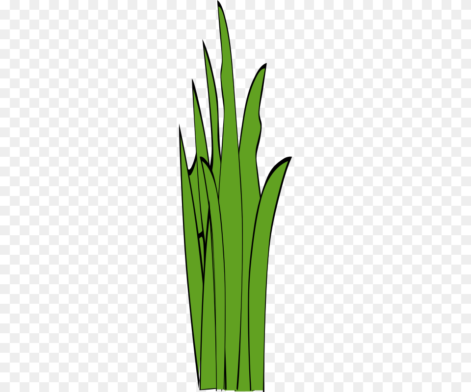Grass Clip Art, Green, Plant, Leaf, Food Png Image