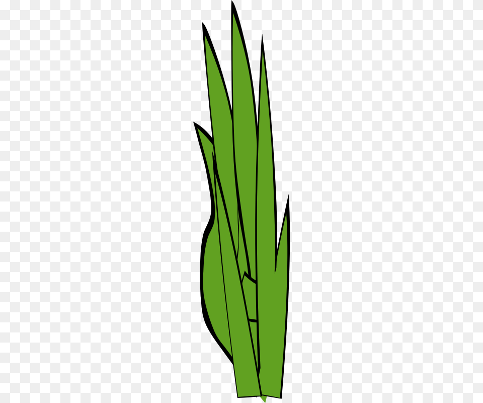 Grass Clip Art, Green, Leaf, Plant, Weapon Free Transparent Png