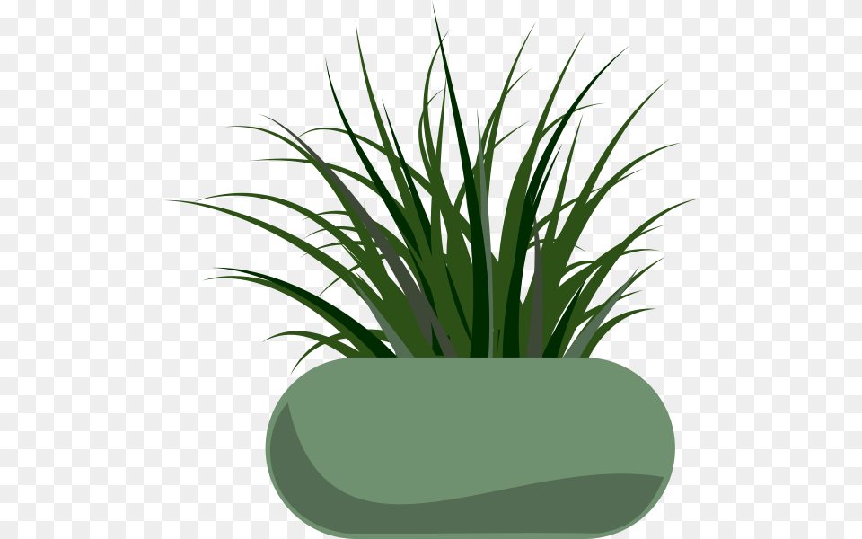 Grass Clip Art, Jar, Plant, Planter, Potted Plant Png
