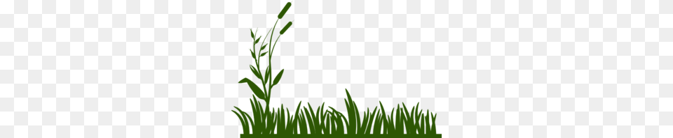 Grass Clip Art, Moss, Green, Plant, Vegetation Free Png