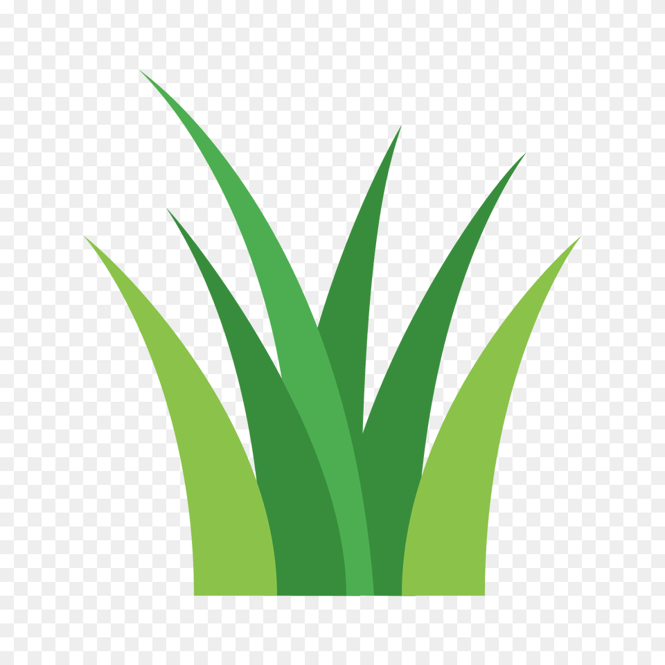 Grass Clip Art, Green, Plant, Leaf, Aloe Free Png Download