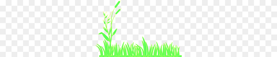 Grass Clip Art, Green, Moss, Plant, Vegetation Png