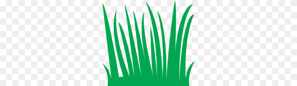 Grass Clip Art, Green, Plant, Lighting, Light Png