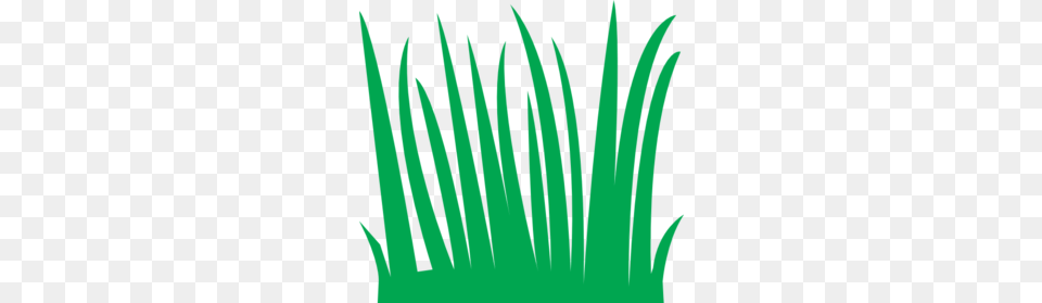 Grass Clip Art Alvies Day With A Clip Art Grass, Green, Plant, Lighting, Light Png