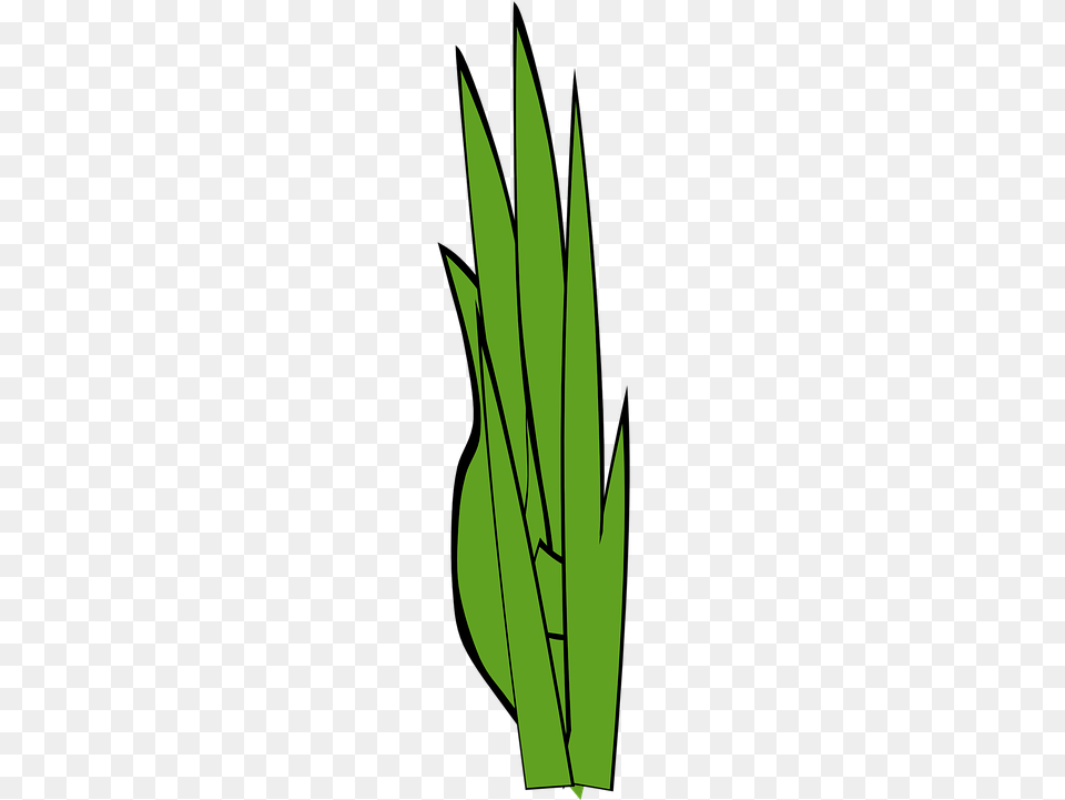 Grass Clip Art At Clker Vector Clip Art Online Royalty Openclipart, Green, Herbal, Herbs, Leaf Png Image