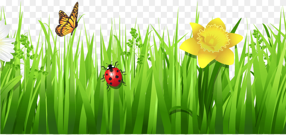 Grass Clip Art Flowers With Grass Hd, Plant, Daffodil, Flower, Petal Free Png