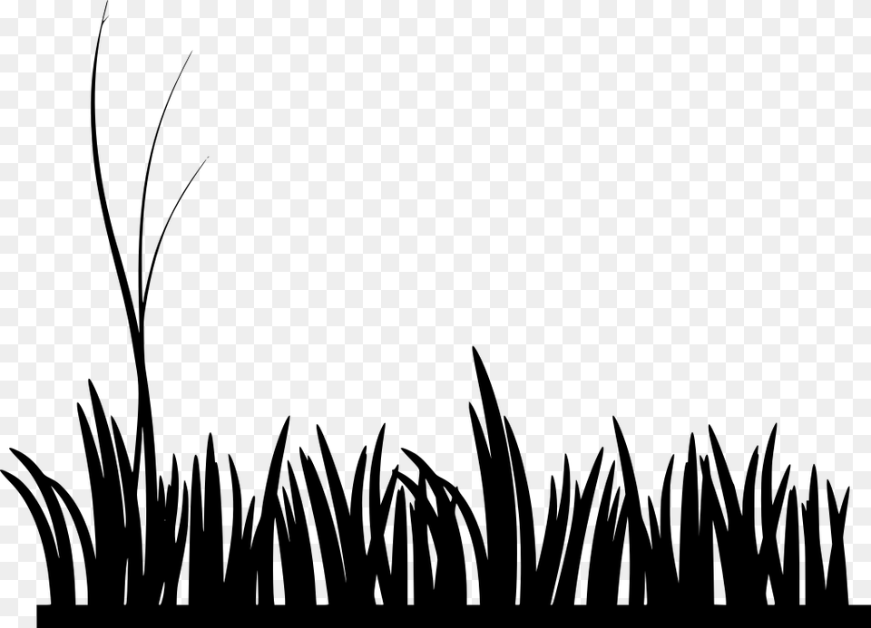 Grass Clip Art Grass Black And White, Gray Free Png Download
