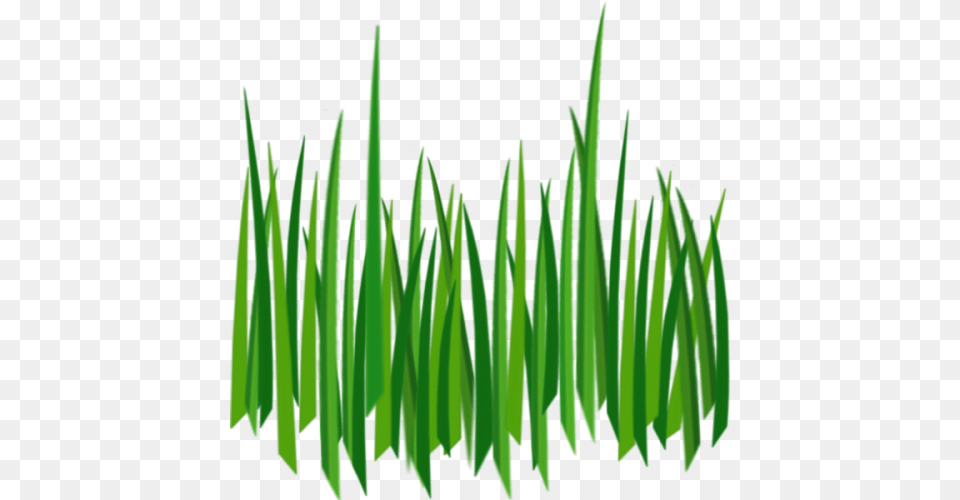 Grass Clip Art Image Black, Green, Lawn, Plant, Aquatic Free Png