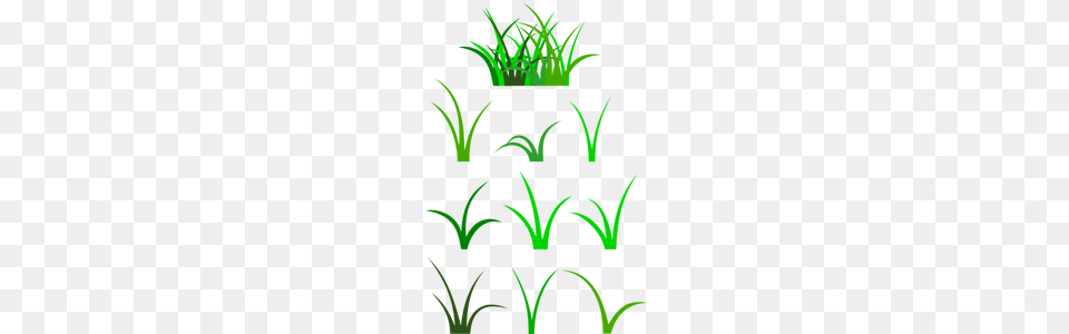 Grass Clip Art Vector, Green, Moss, Plant, Vegetation Free Transparent Png