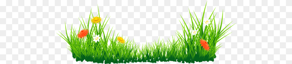 Grass Clipart, Plant, Green, Flower, Lawn Free Png