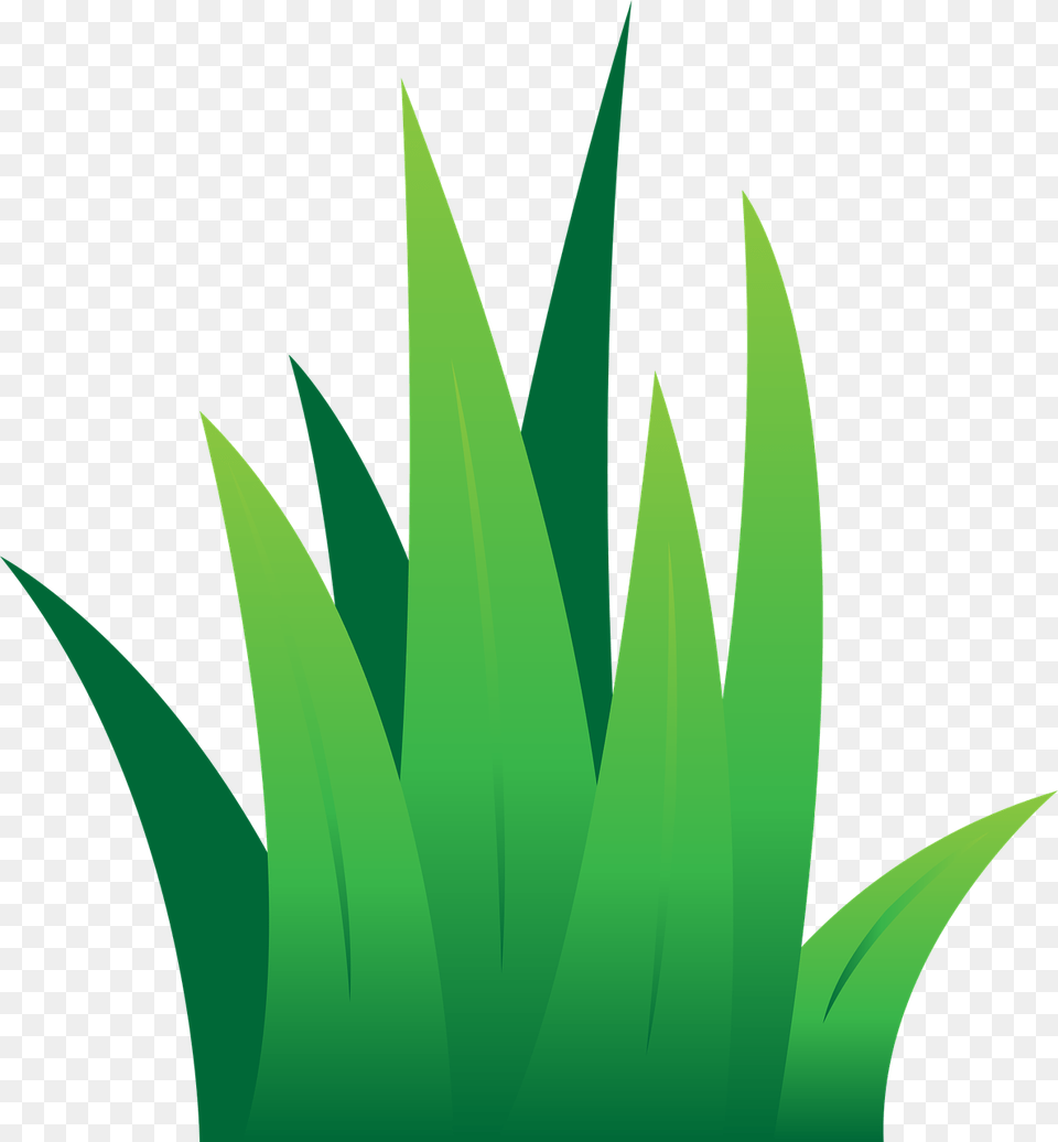 Grass Clipart, Green, Leaf, Plant, Aloe Free Transparent Png