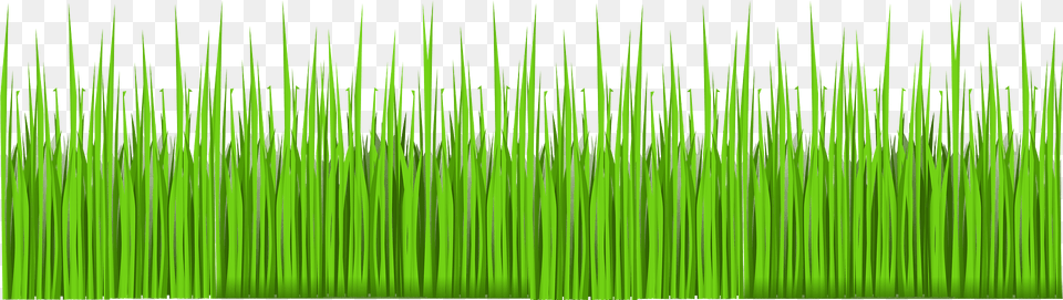 Grass Clipart, Green, Plant, Vegetation, Lawn Free Png
