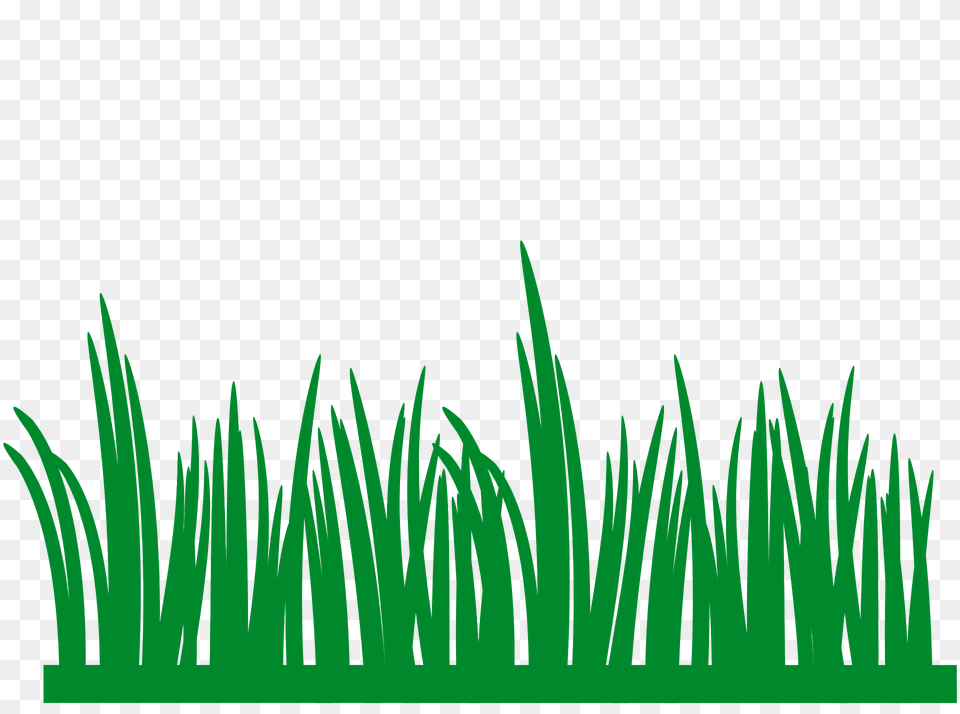 Grass Clipart, Green, Lawn, Plant, Vegetation Png