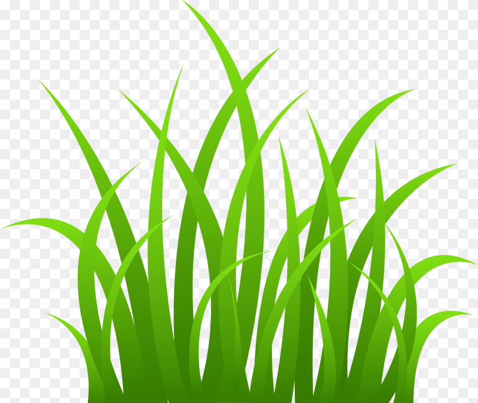 Grass Clipart, Green, Plant, Leaf, Vegetation Png Image