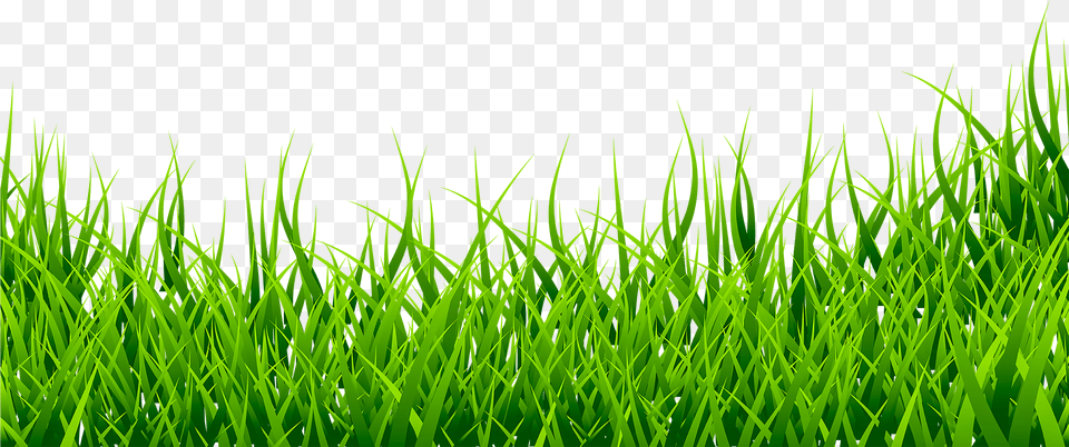 Grass Clipart, Green, Lawn, Plant, Vegetation Free Png