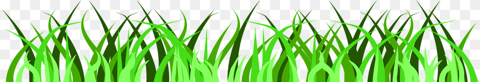 Grass Clipart, Green, Plant, Lawn, Vegetation Free Transparent Png