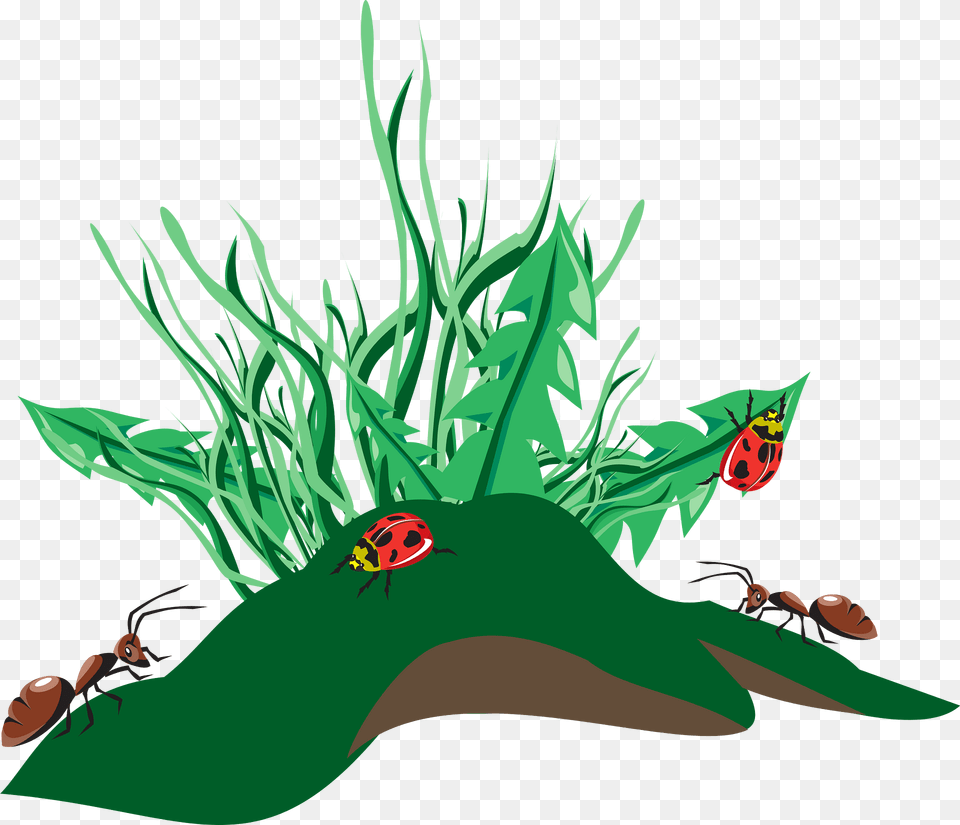 Grass Clipart, Animal, Insect, Invertebrate Free Transparent Png