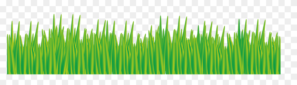 Grass Clipart, Green, Plant, Vegetation, Lawn Png