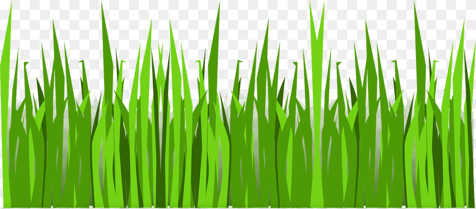Grass Clipart, Green, Lawn, Plant, Vegetation Png