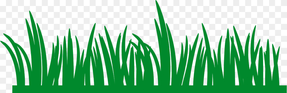 Grass Clipart, Green, Plant, Vegetation, Lawn Png