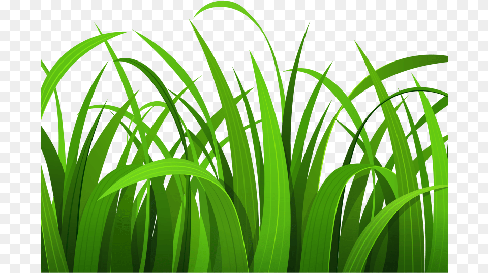 Grass Clipart Background, Green, Plant, Vegetation, Lawn Png Image