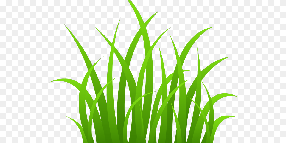 Grass Clipart Black And White, Green, Plant, Aquatic, Vegetation Png